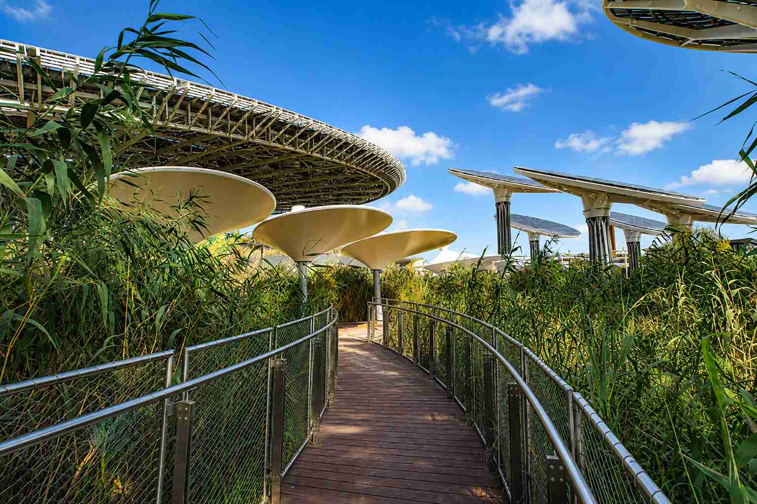 Green Walking Trail